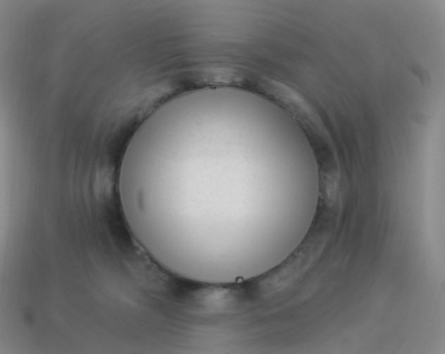 X0000113900326200910081834