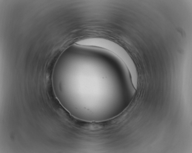 X0000113900327200910081834