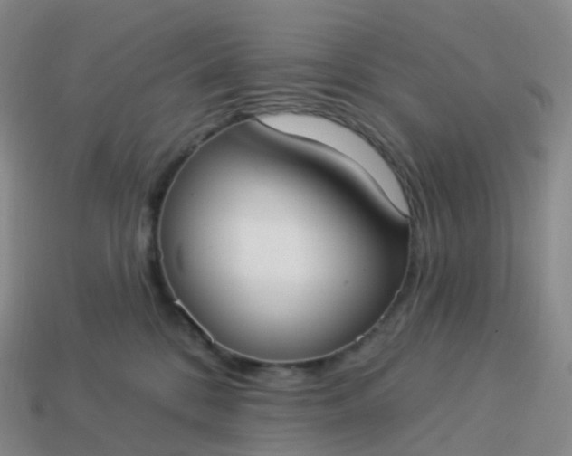 X0000113900328200910081834