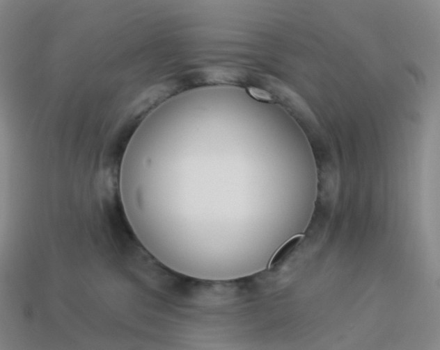 X0000113900329200910081834