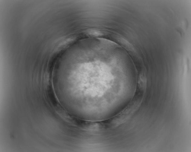 X0000113900330200910081834