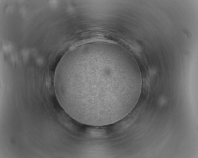 X0000113900331200910081834