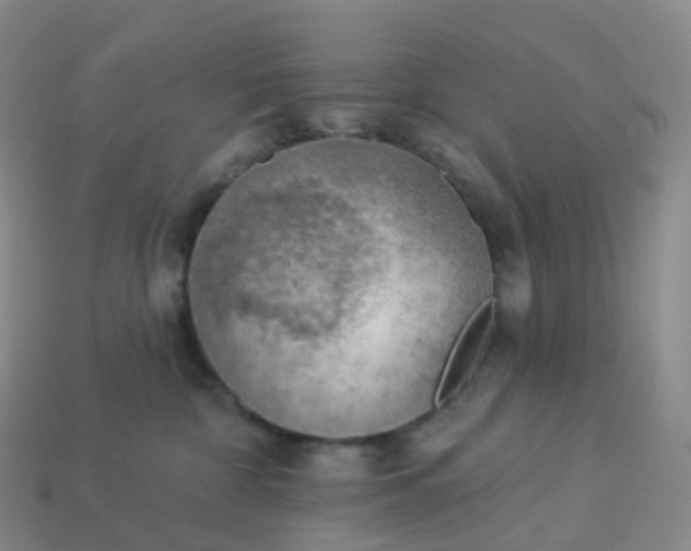 X0000113900332200910081834