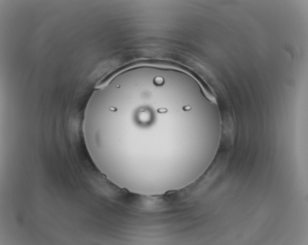 X0000113900333200910081834