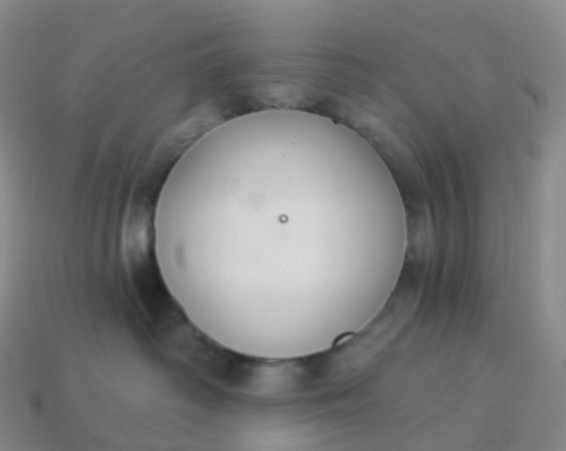 X0000113900334200910081834