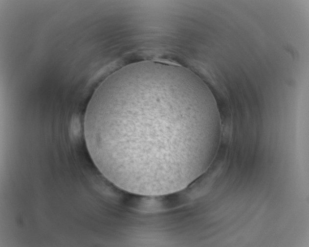 X0000113900335200910081834