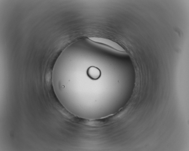 X0000113900336200910081834