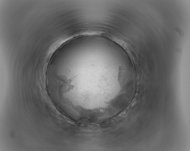 X0000113900337200910081833