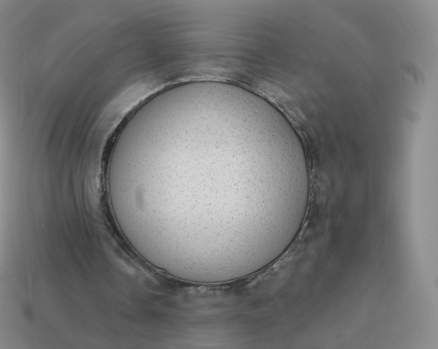 X0000113900338200910081833