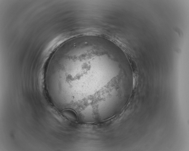 X0000113900339200910081833