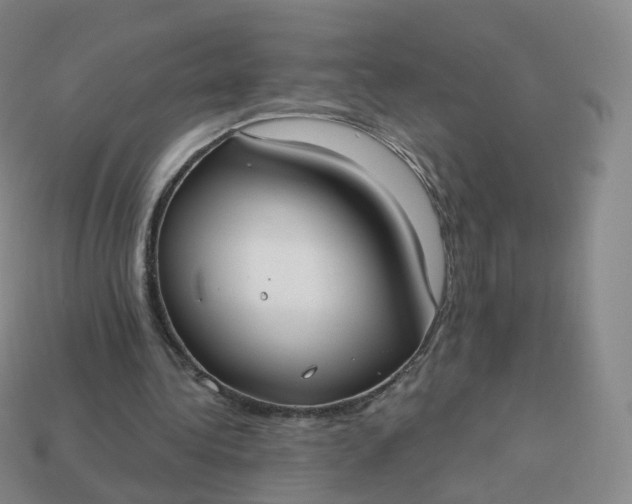 X0000113900340200910081833