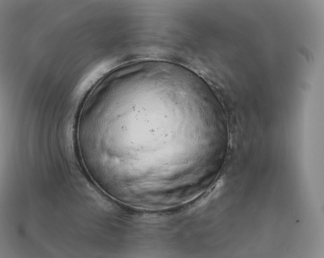 X0000113900341200910081833