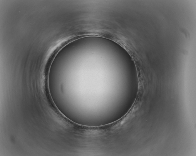 X0000113900342200910081833