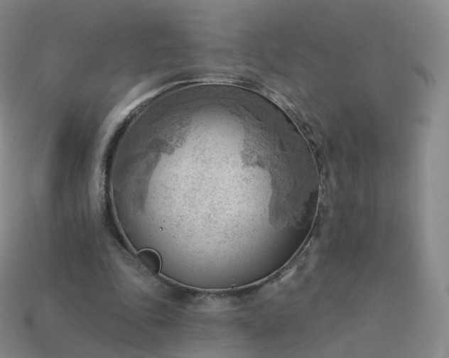 X0000113900343200910081833