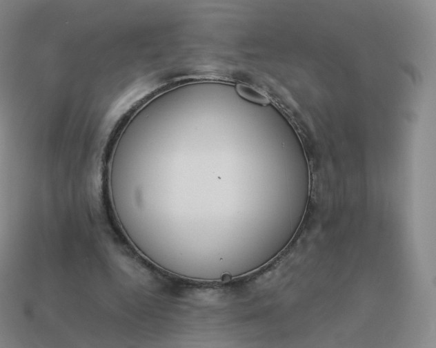 X0000113900344200910081833