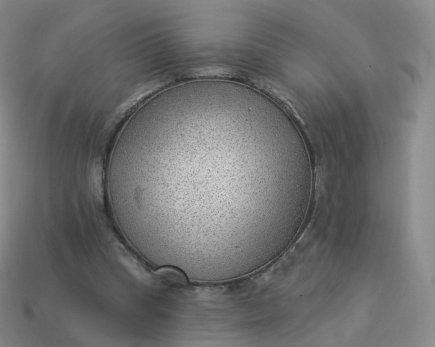 X0000113900345200910081833