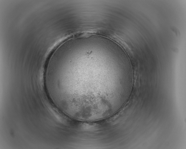 X0000113900346200910081833