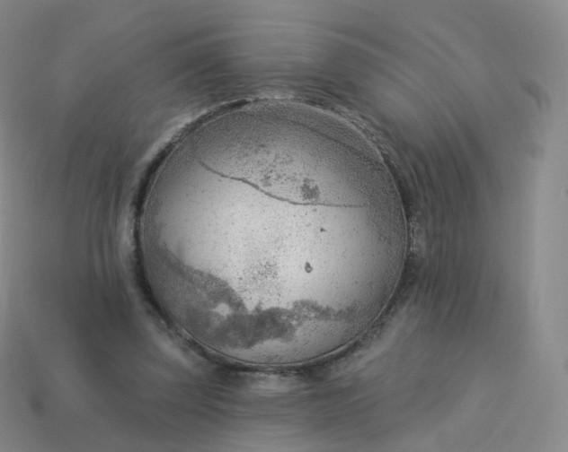 X0000113900347200910081833