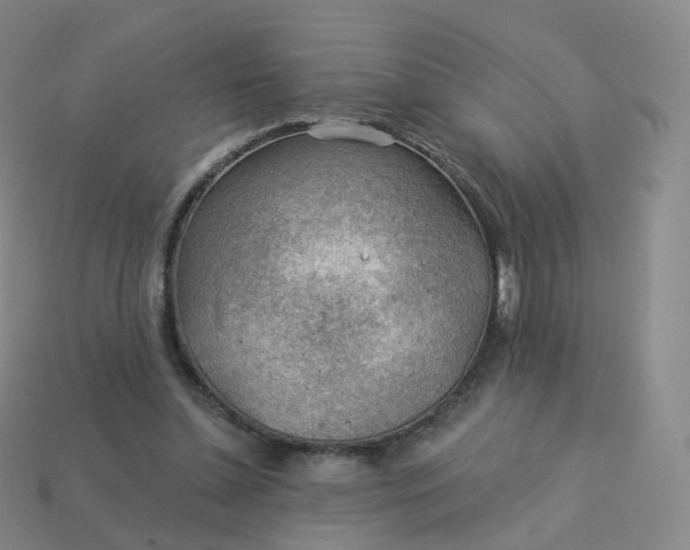 X0000113900348200910081833