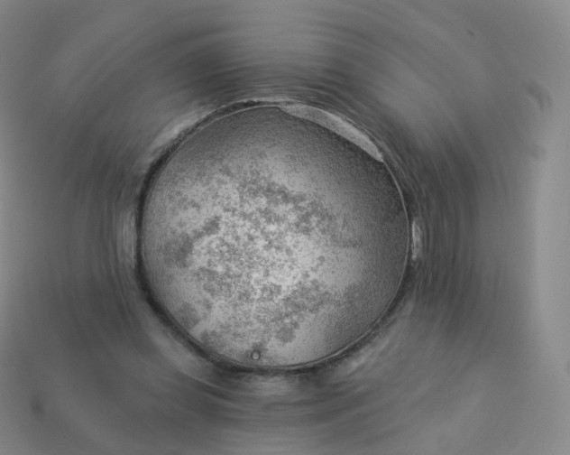 X0000113900349200910081833