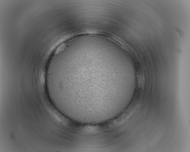 X0000113900350200910081833