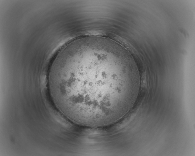 X0000113900351200910081833