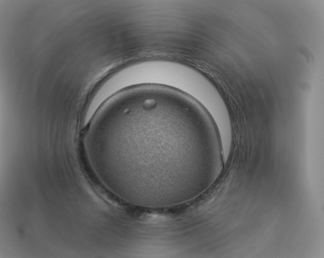 X0000113900352200910081833