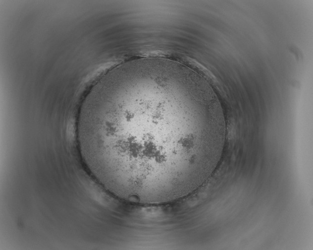 X0000113900353200910081833