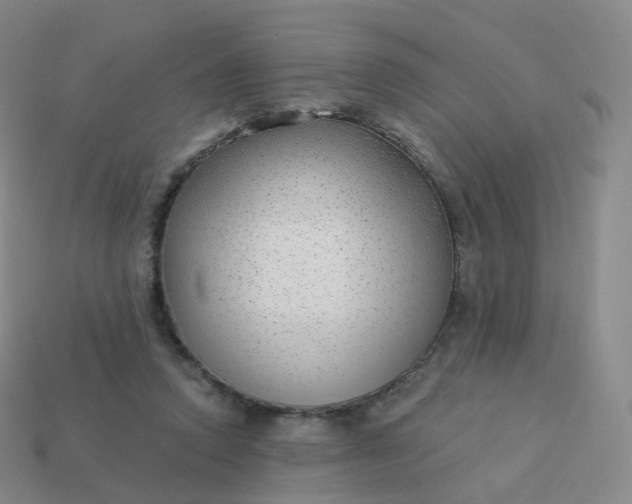 X0000113900354200910081833