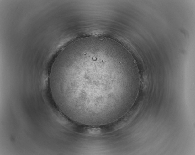 X0000113900355200910081833