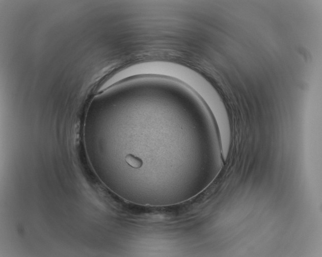 X0000113900356200910081833