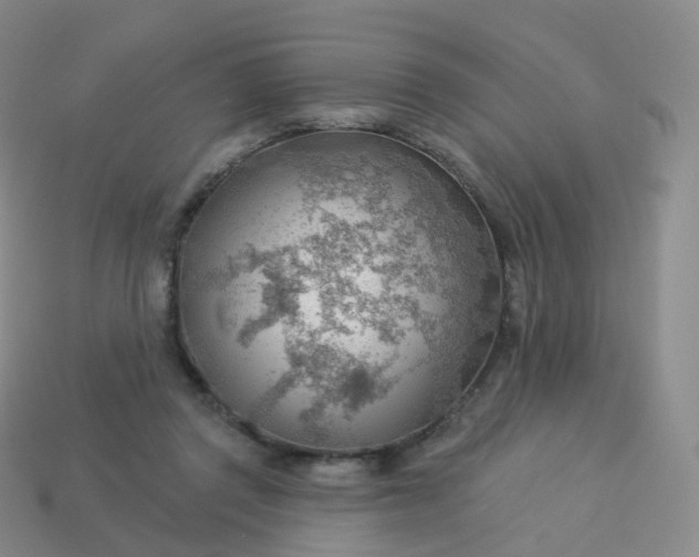 X0000113900357200910081833