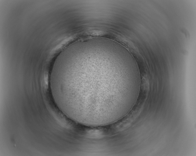 X0000113900358200910081833