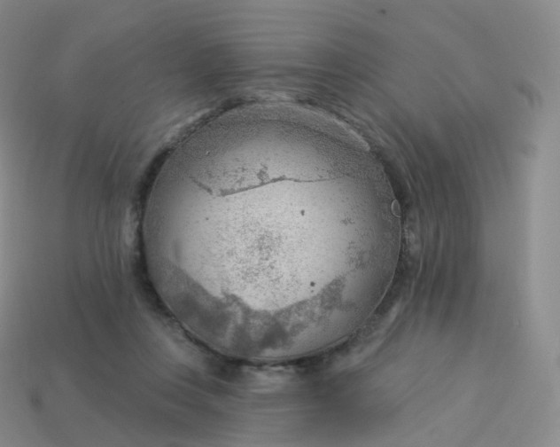 X0000113900359200910081833