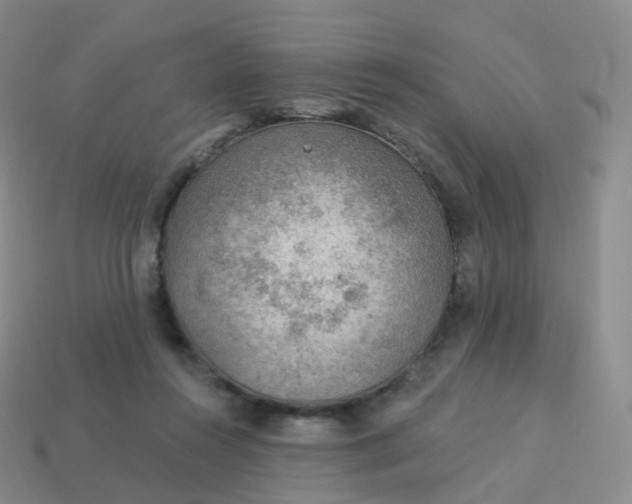 X0000113900360200910081833