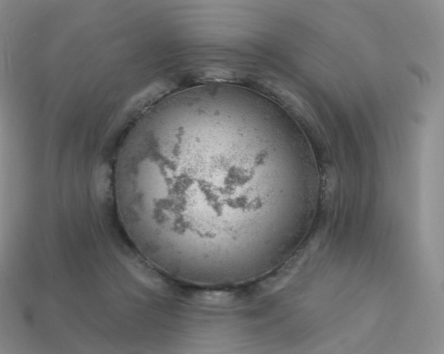 X0000113900361200910081833