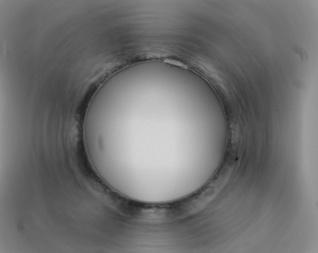 X0000113900362200910081834