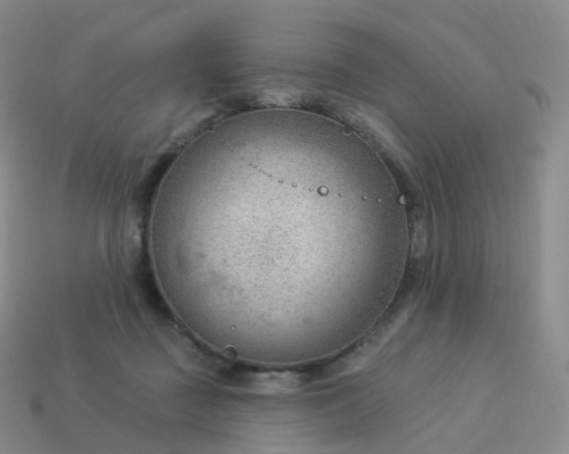 X0000113900363200910081834