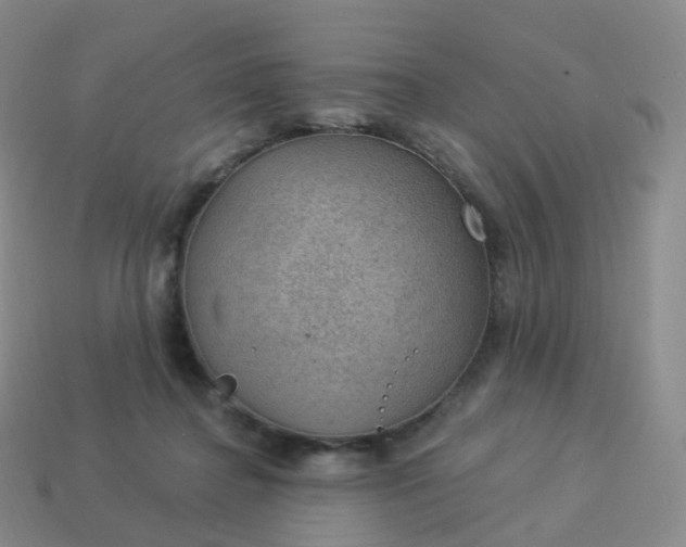 X0000113900364200910081834