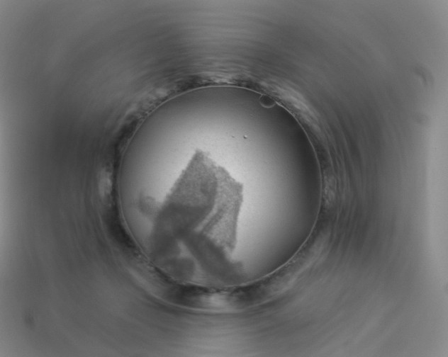 X0000113900365200910081834