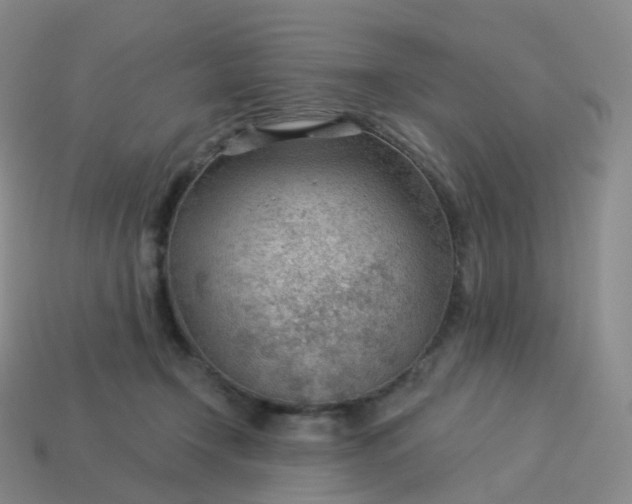 X0000113900366200910081834