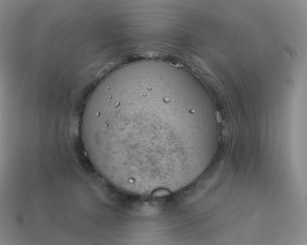 X0000113900368200910081834