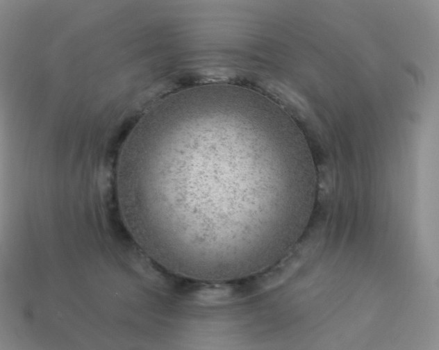 X0000113900369200910081834