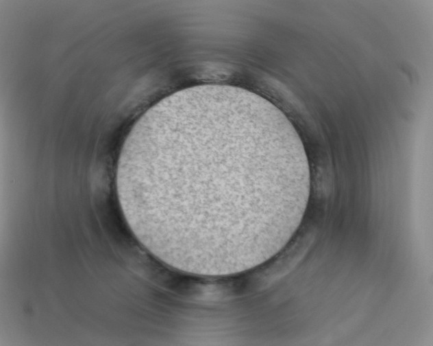 X0000113900370200910081834