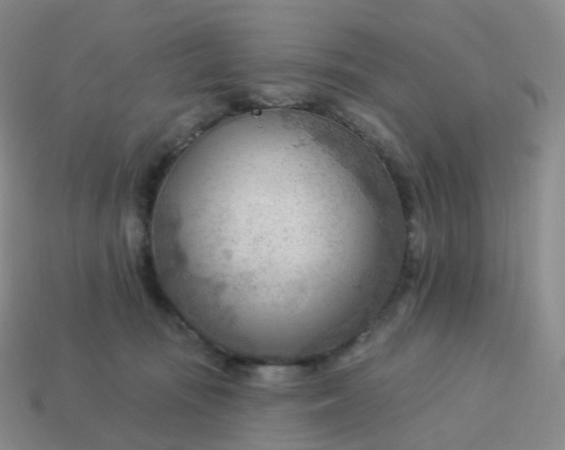 X0000113900371200910081834