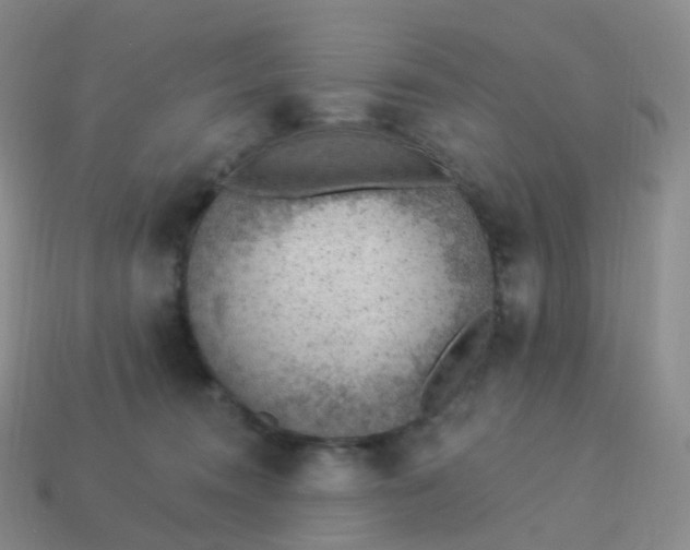 X0000113900372200910081834