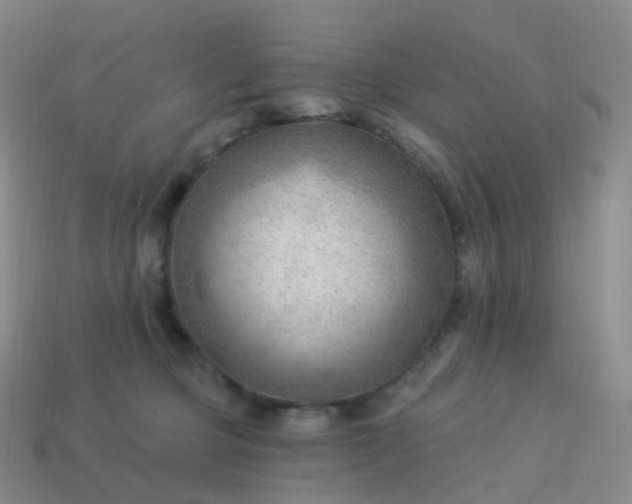 X0000113900373200910081834