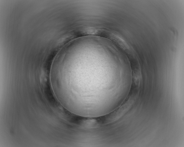 X0000113900374200910081834