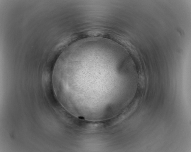 X0000113900375200910081834