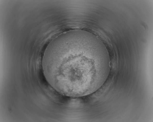 X0000113900376200910081834